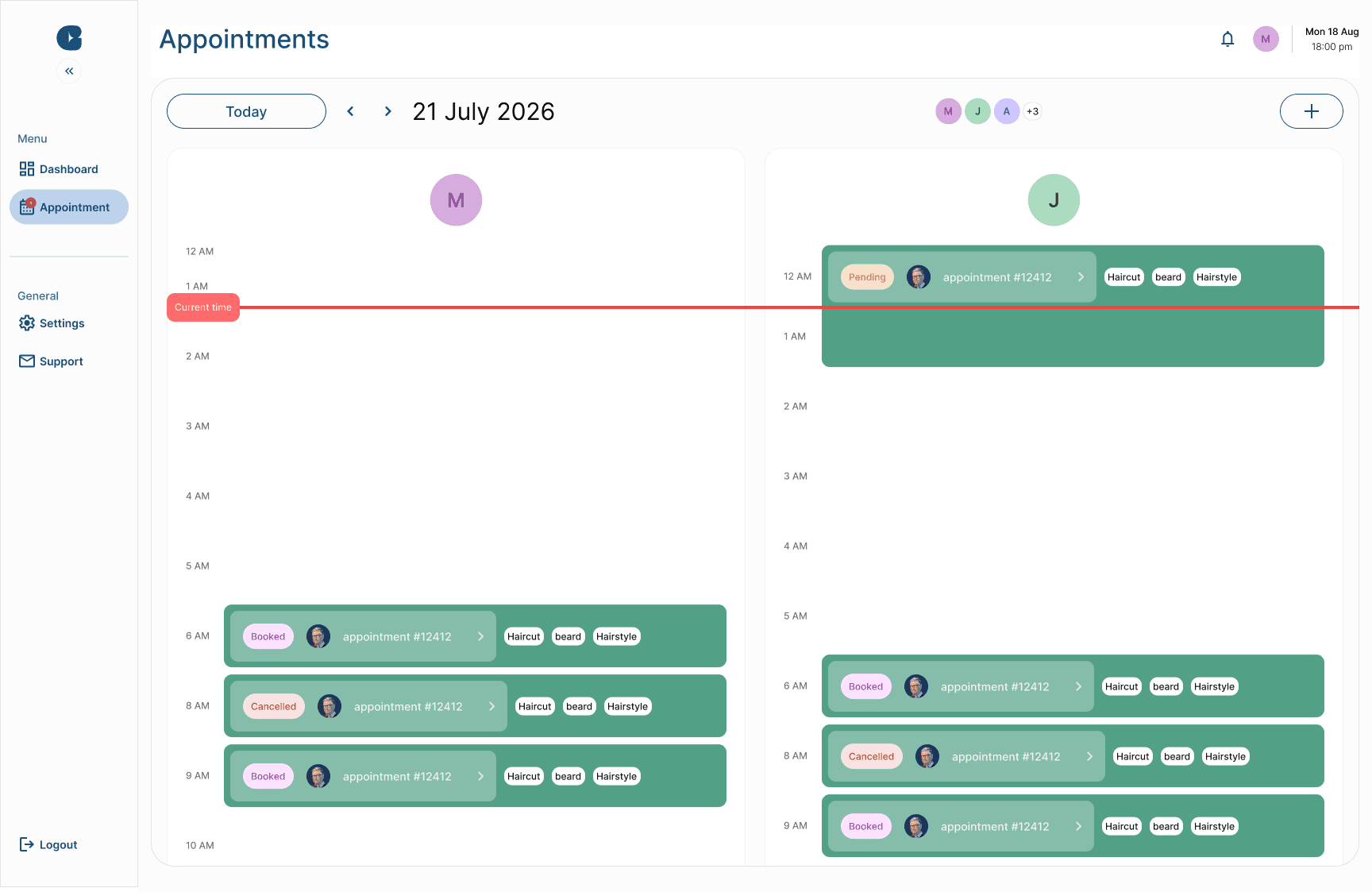 Appointments calendar with multiple staff columns
